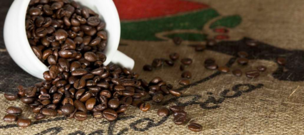 kavegep-berles-kave-Budapest-webshop-