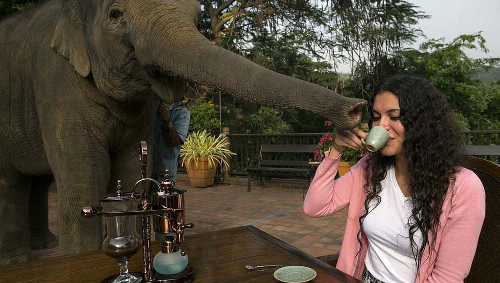 kávégép-bérlés-budapest